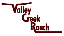 Valley Creek Ranch Logo
